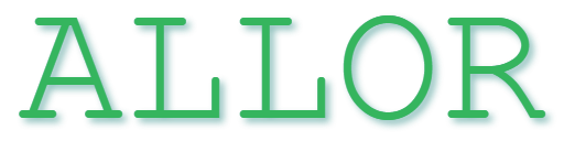 Allorixia : tenues d’été, maillots & footwear pour bouger avec style